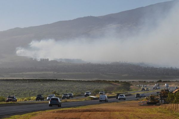 Maui wildfire