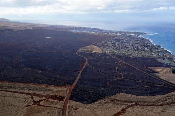 Maui wildfire