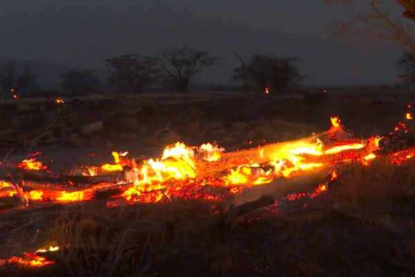 Maui wildfire