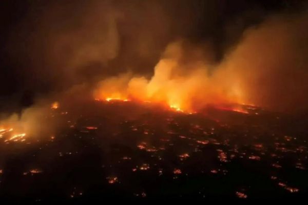 Maui wildfire [Photo Credit Google]