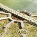 Lagos’ Fourth Mainland Bridge construction sparks employment for 5000 engineers