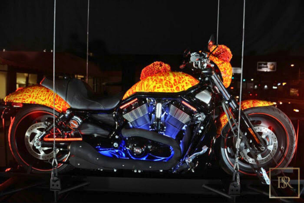 Cosmic Starship Harley Davidson