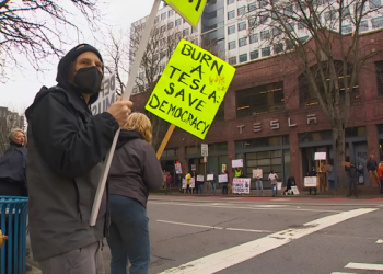 Tesla protest