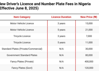 Nigerians to pay more for driver’s licences, up to N400,000 for new number plates