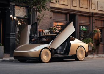 Tesla Robotaxi