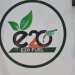 E20 Fuel in Indai