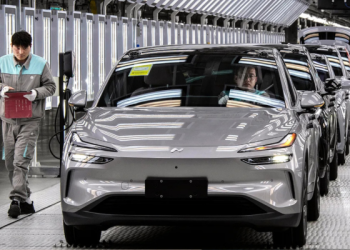 Chinese electric vehicles (EVs)
